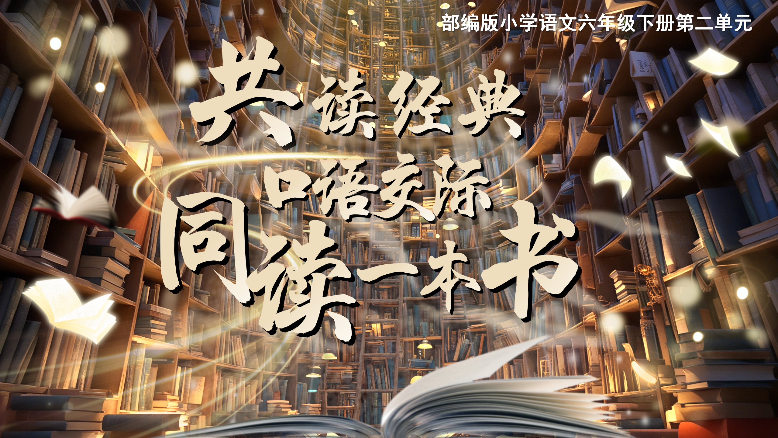 13.六下第二单元口语交际《同读一本书》
