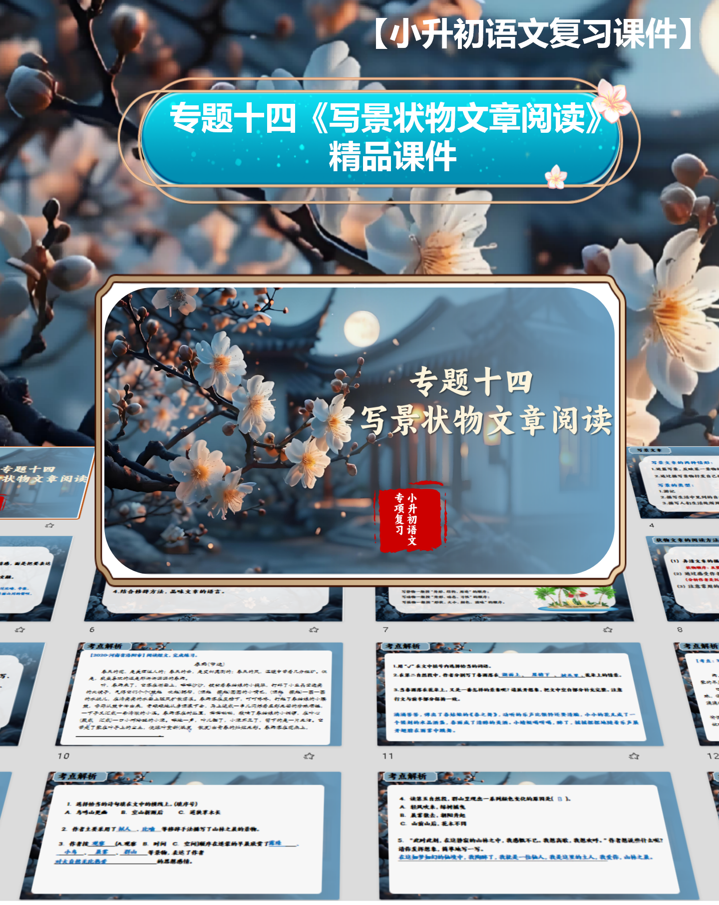 【2025年小升初复习专题】专题十四《写景状物类文章阅读》